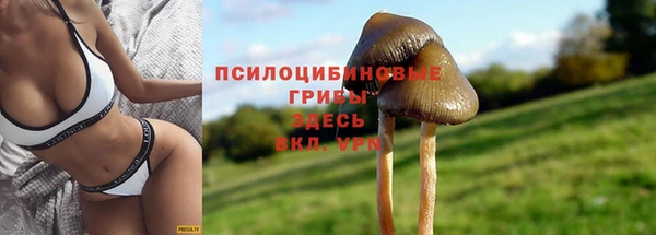 стафф Армянск