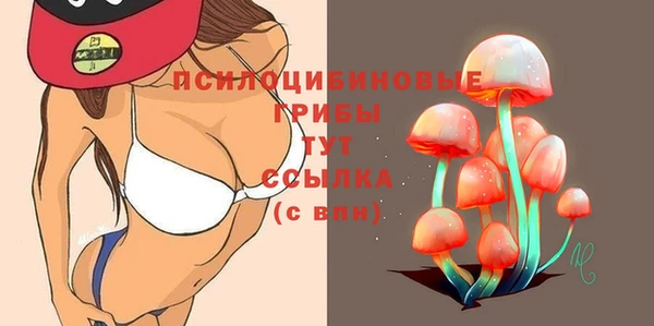 метамфетамин Аркадак