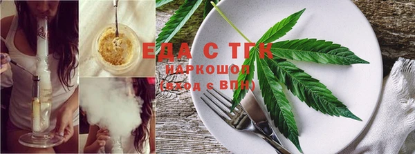 индика Протвино