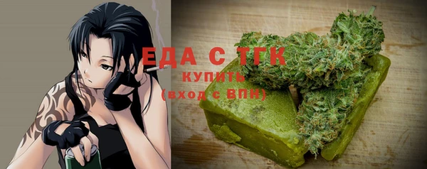 индика Протвино