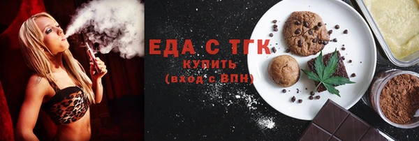 индика Протвино